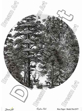 خرید کاغذ دکوپاژ ،خرید دکوپاژ برنجی ، خرید وسایل دکوپاژ در ایران کادنس ،کادنس