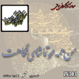 خرید حروف کالیگرافی، کالیگرافی مولتی، حروف کالیگرافی پلکسی، کالیگرافی آینه، کالیگرافی من همه محو تماشای نگاهت، ایران کادنس